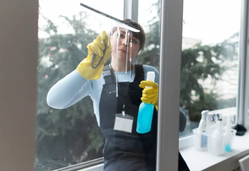 Nettoyage de vitres intérieures et extérieures à Hérisson